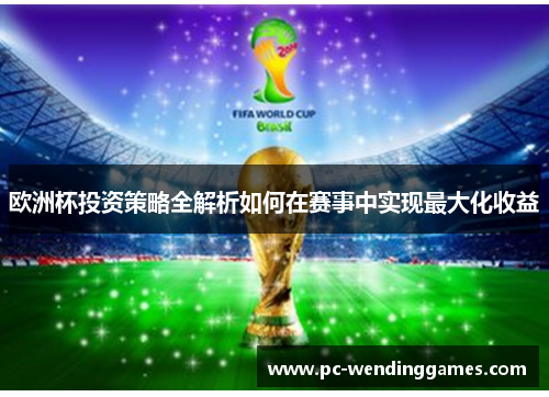 欧洲杯投资策略全解析如何在赛事中实现最大化收益