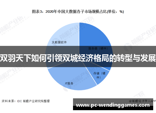 双羽天下如何引领双城经济格局的转型与发展