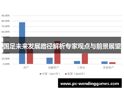 国足未来发展路径解析专家观点与前景展望