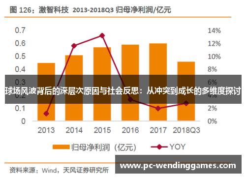 球场风波背后的深层次原因与社会反思：从冲突到成长的多维度探讨