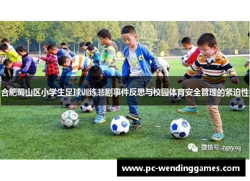 合肥蜀山区小学生足球训练悲剧事件反思与校园体育安全管理的紧迫性