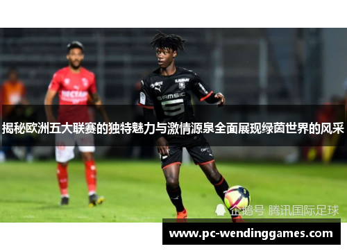 揭秘欧洲五大联赛的独特魅力与激情源泉全面展现绿茵世界的风采