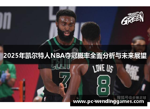 2025年凯尔特人NBA夺冠概率全面分析与未来展望