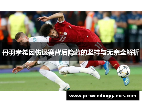 丹羽孝希因伤退赛背后隐藏的坚持与无奈全解析