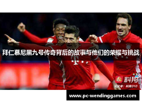 拜仁慕尼黑九号传奇背后的故事与他们的荣耀与挑战