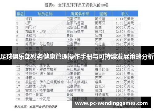 足球俱乐部财务健康管理操作手册与可持续发展策略分析 足球俱乐部财务健康管理操作手册与可持续发展策略分析