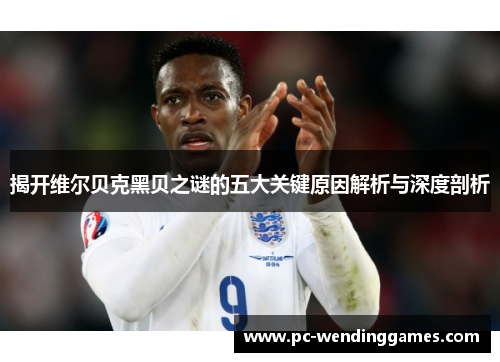 揭开维尔贝克黑贝之谜的五大关键原因解析与深度剖析