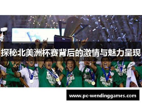 探秘北美洲杯赛背后的激情与魅力呈现