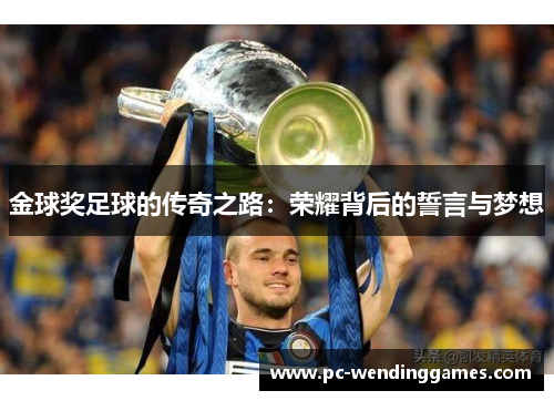 金球奖足球的传奇之路：荣耀背后的誓言与梦想