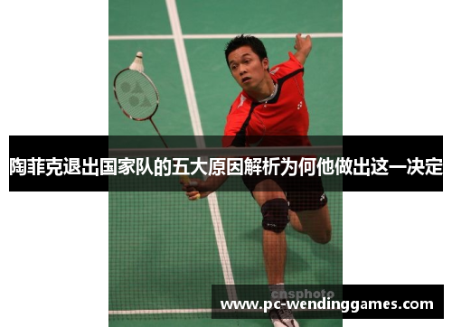 陶菲克退出国家队的五大原因解析为何他做出这一决定