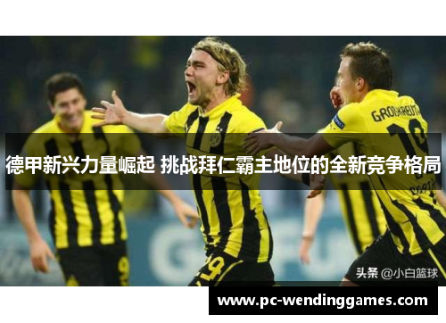 德甲新兴力量崛起 挑战拜仁霸主地位的全新竞争格局 德甲新兴力量崛起 挑战拜仁霸主地位的全新竞争格局